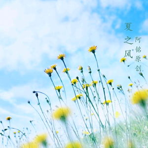 草莓视频APP下载污
